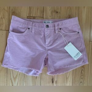 COPY - Nwt Carve Design Ohua Lilac shorts!